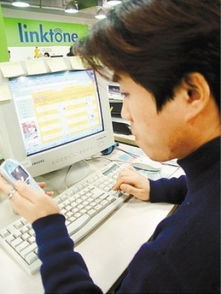 英语、法学等专业本科生失业现象调研分析