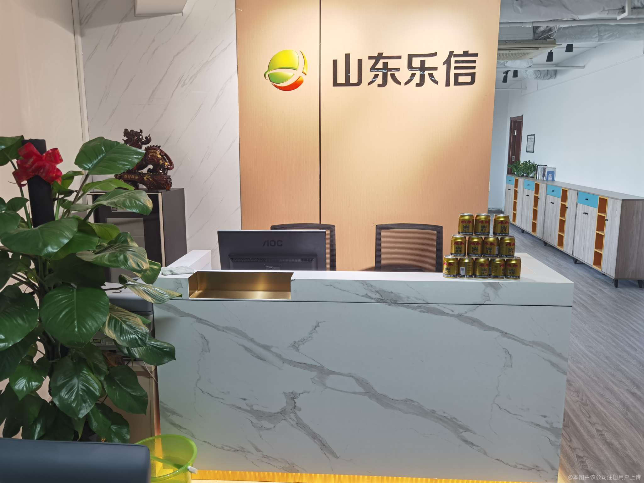 济南点众乐信信息咨询 专业赋能，智汇未来